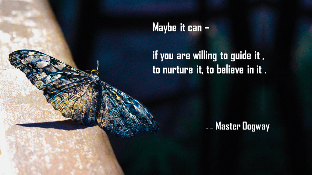 Master Oogway Quotes -24