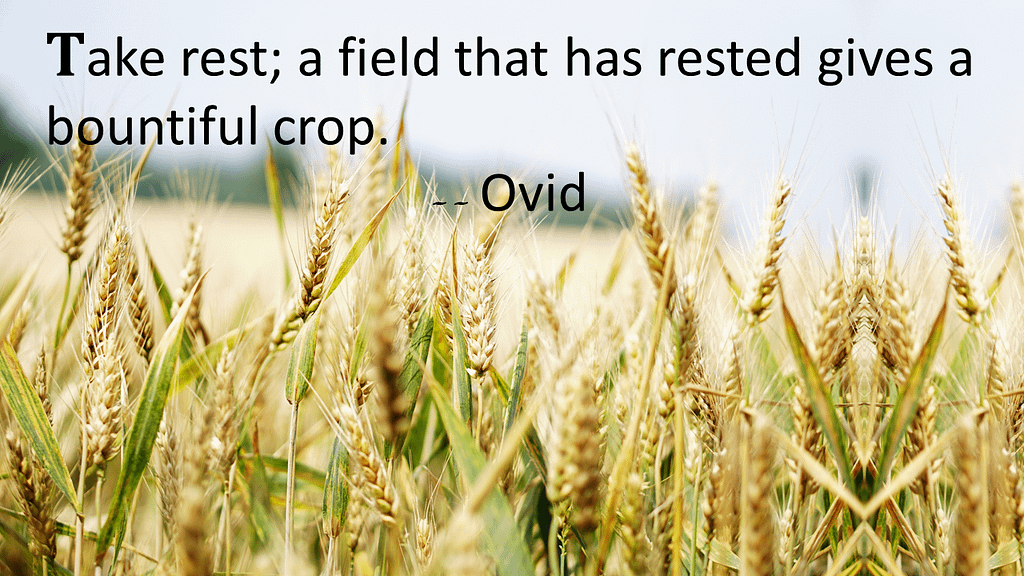 Quotes about relaxing - Ovid
