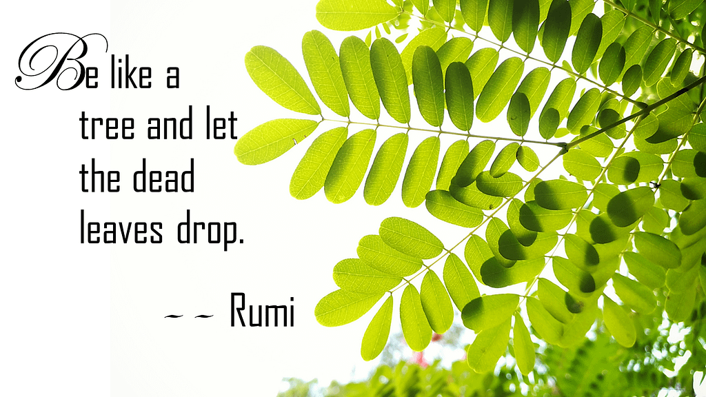 Quotes about relaxing - Rumi